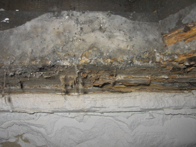 Probleme De Moisissure Sur Les Murs Thome Humidite